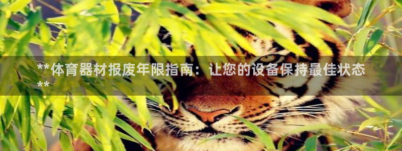 极悦平台注册官方网站下载手机版:**体育器材报废年限指南:让